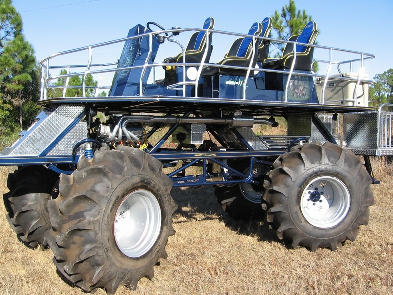 palm beach buggy