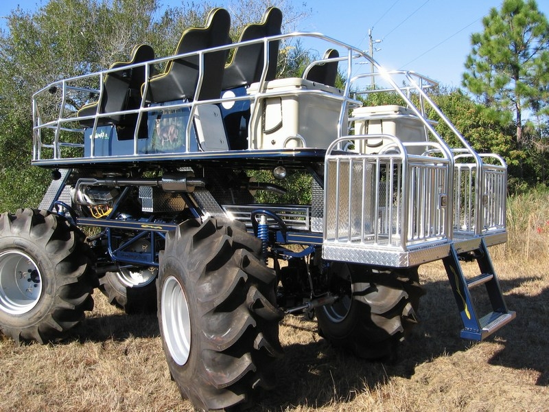 palm beach buggy